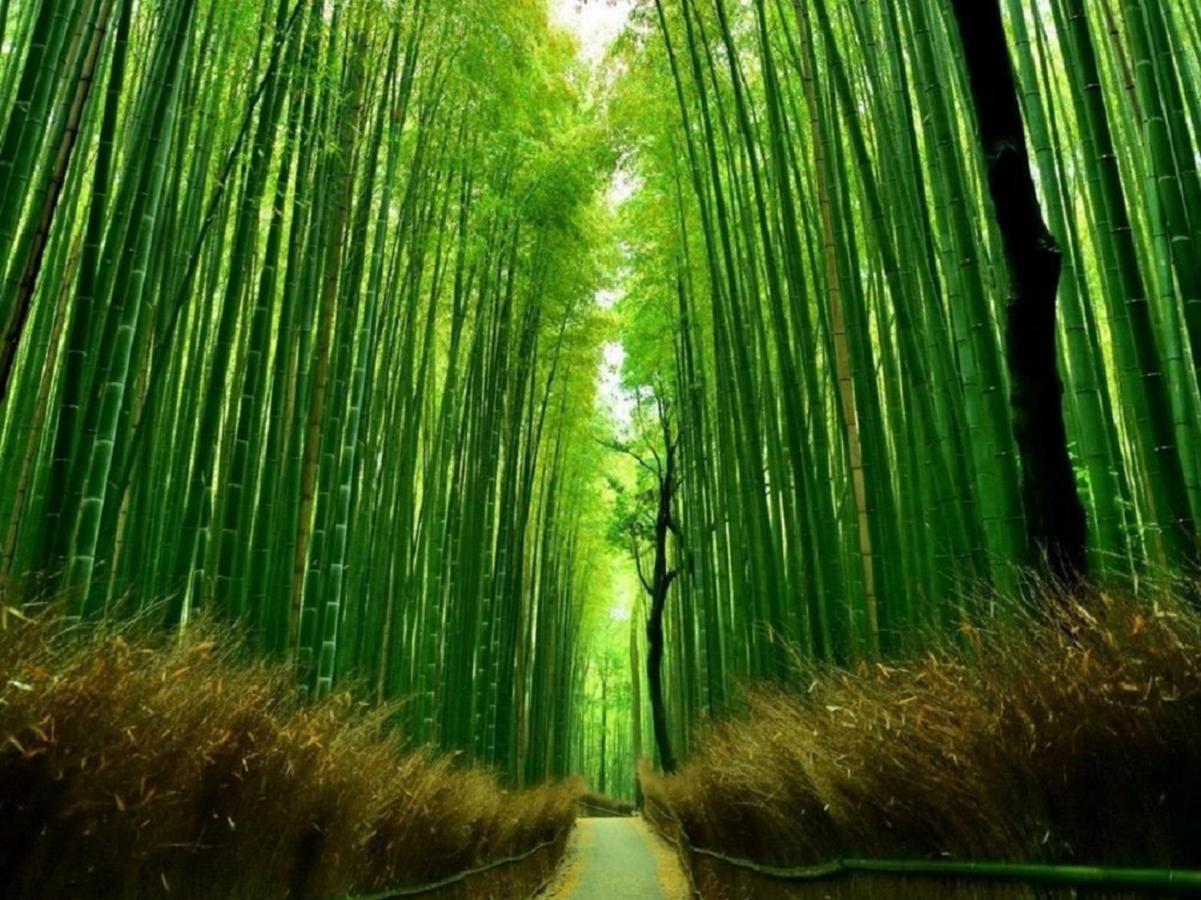 町屋 月 Machiya Tsuki Villa Kyoto Eksteriør bilde